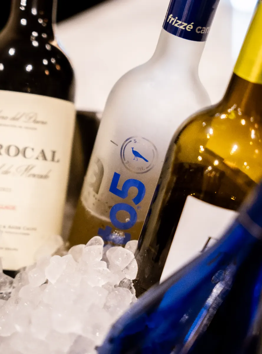 Vinos y cervezas fresquitas en hielo